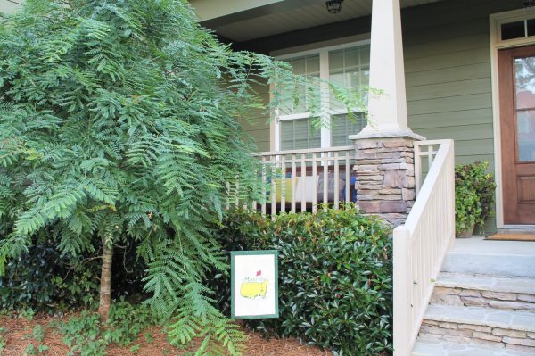 The Loblolly Place photo 6