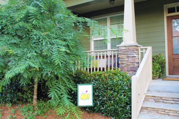 The Loblolly Place photo 16