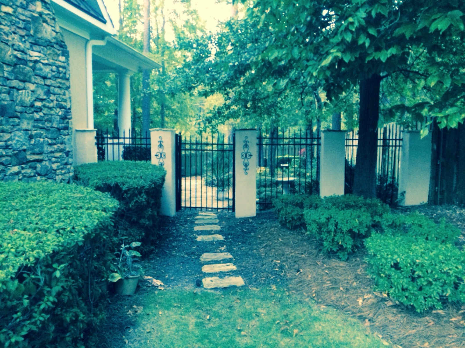 The Chestnut Bungalow photo 7
