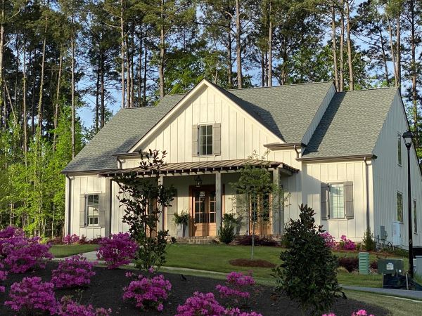 The Camellia Porch photo 6