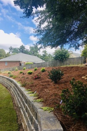 The Camellia Hideaway photo 5