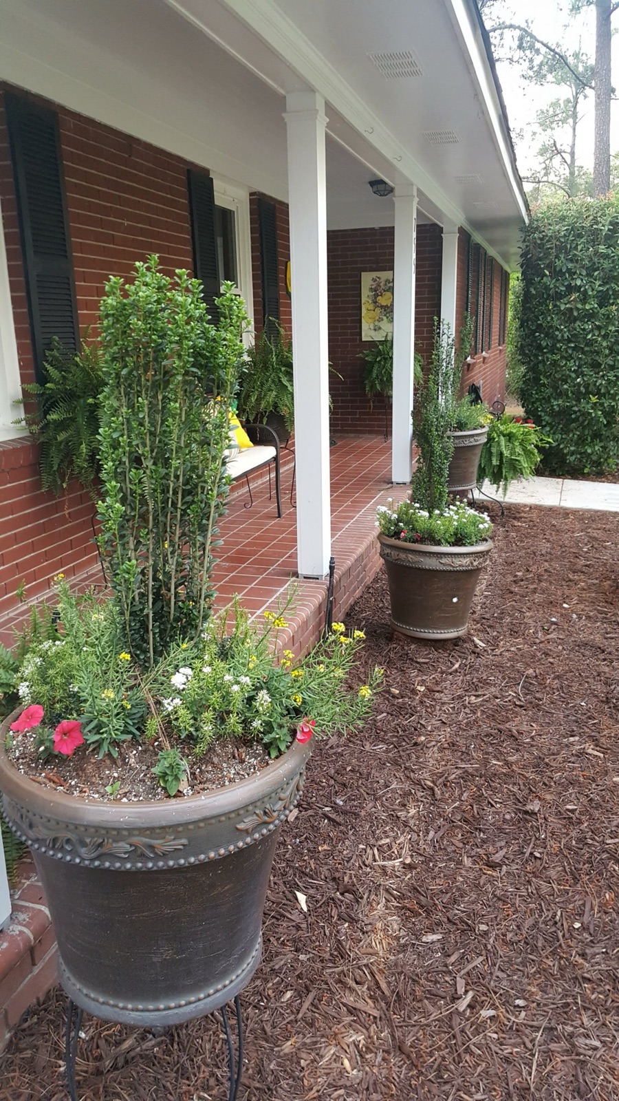 The Wisteria Nest photo 1