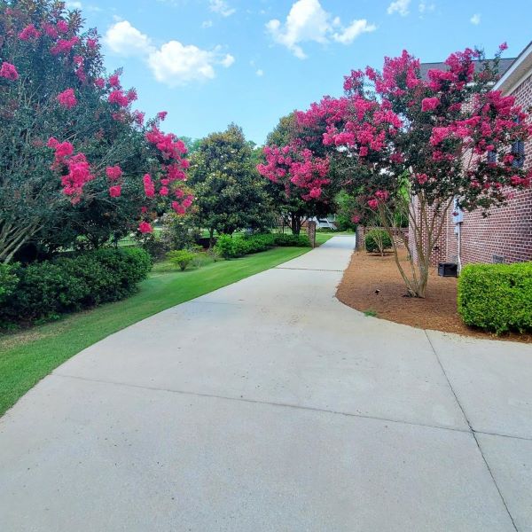 The Cypress Lodge photo 19
