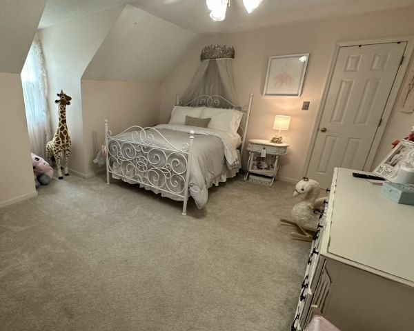 The Sassafras Place photo 20