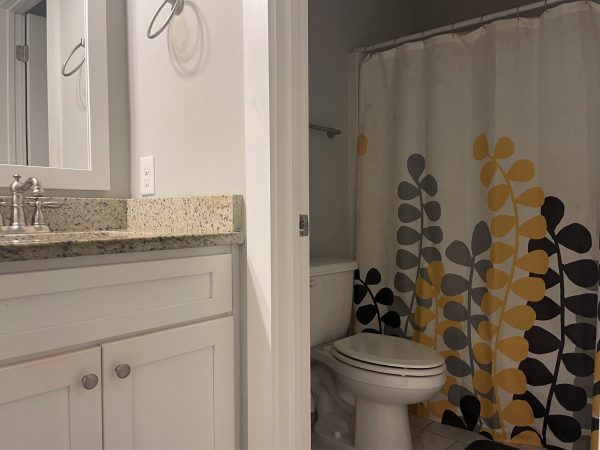 The Meadowlark Place photo 18
