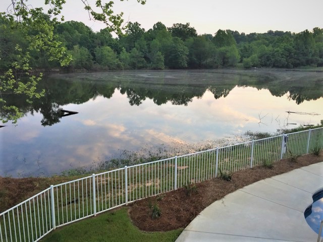 The Carolina Manor photo 15