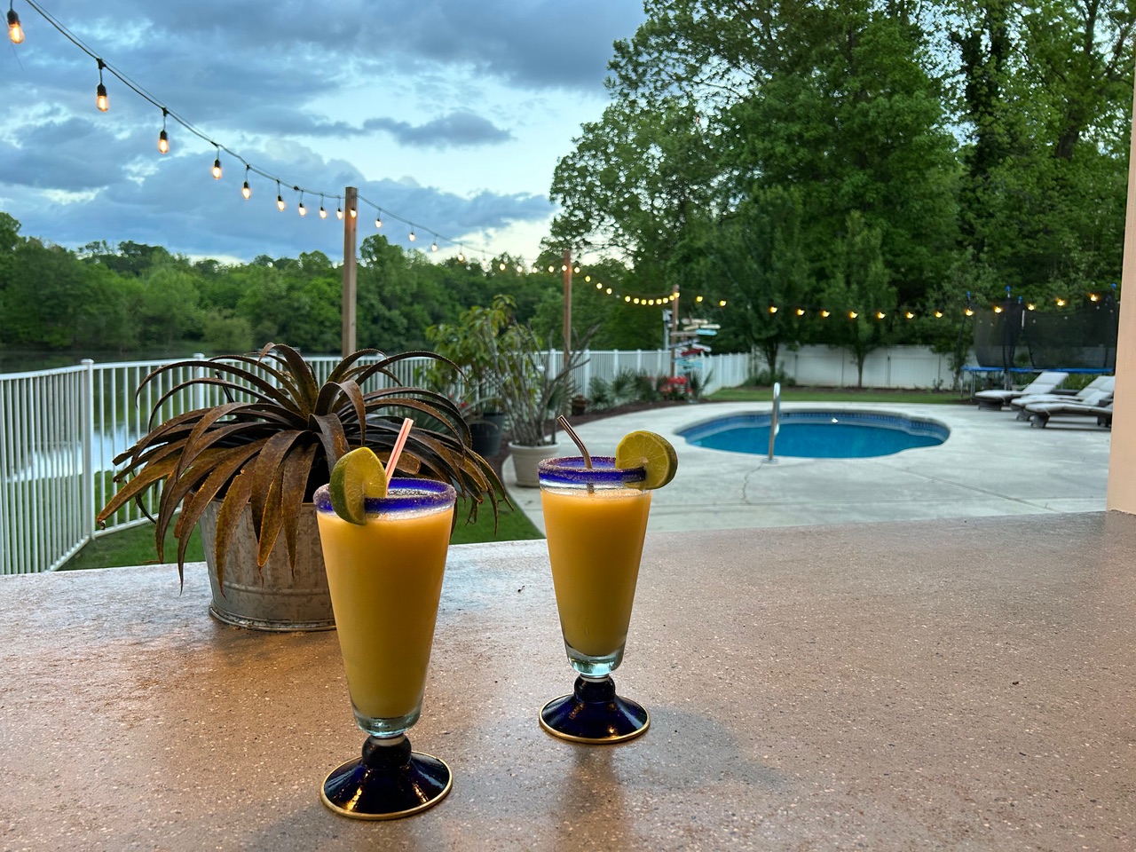 The Carolina Manor photo 73