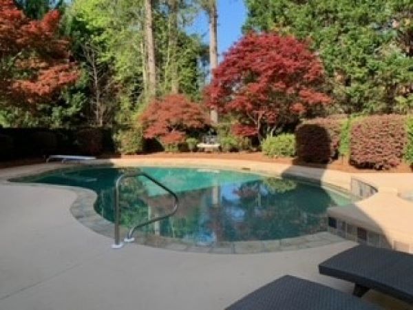 The Savannah Retreat photo 3