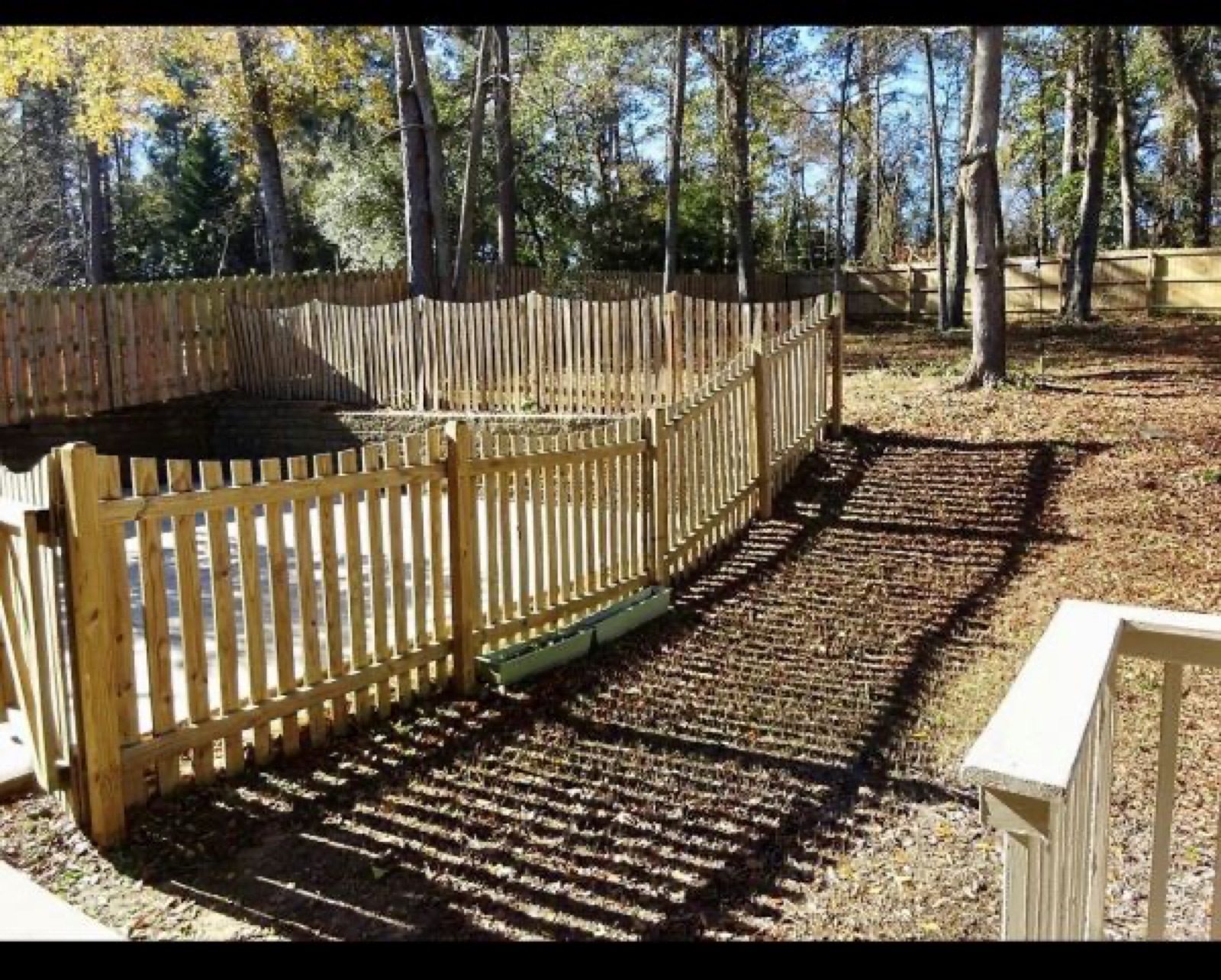 The Laurel Cottage photo 10