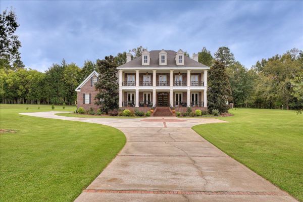 The Camellia Manor photo 8
