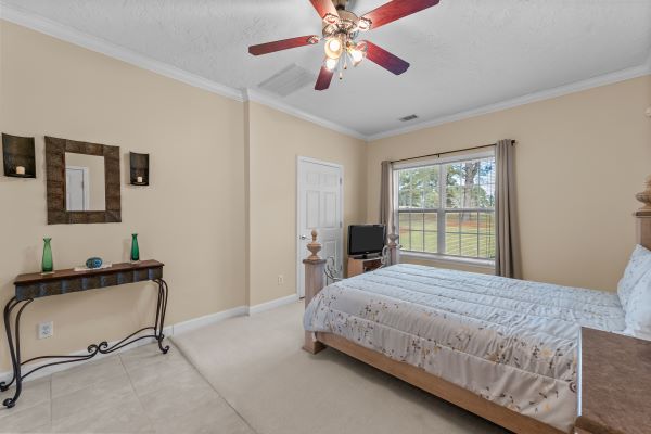 The Primrose Cottage photo 25