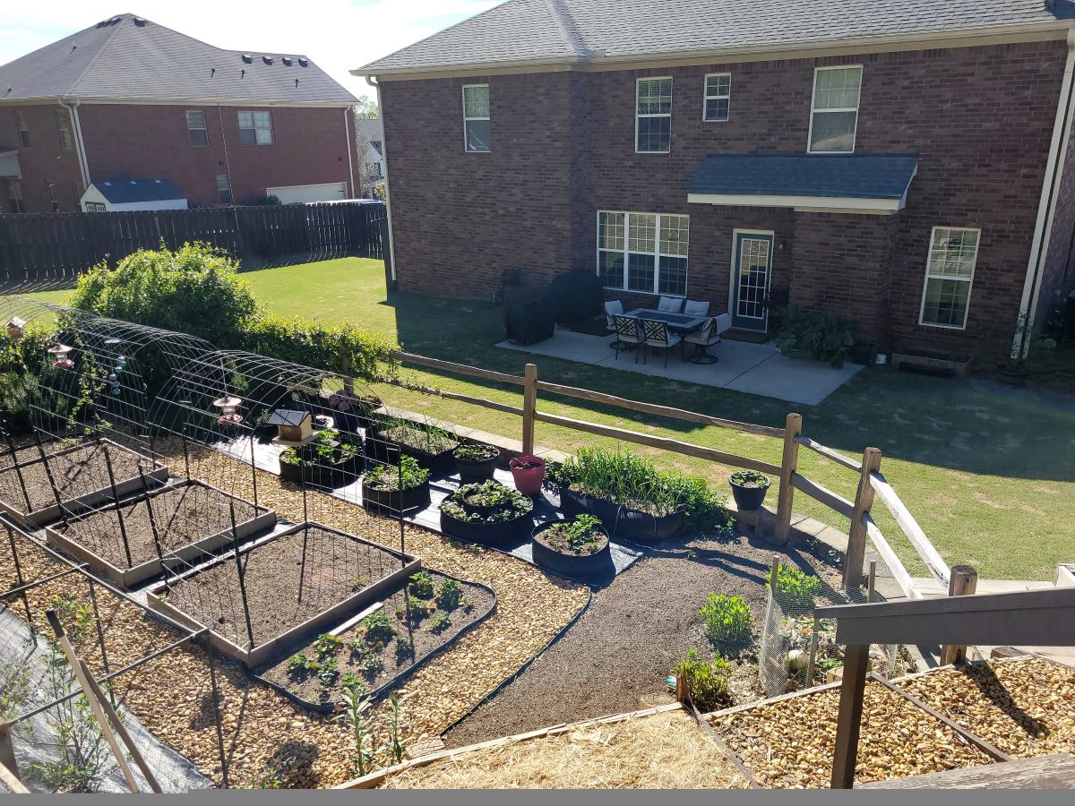 The Carolina Homestead photo 28