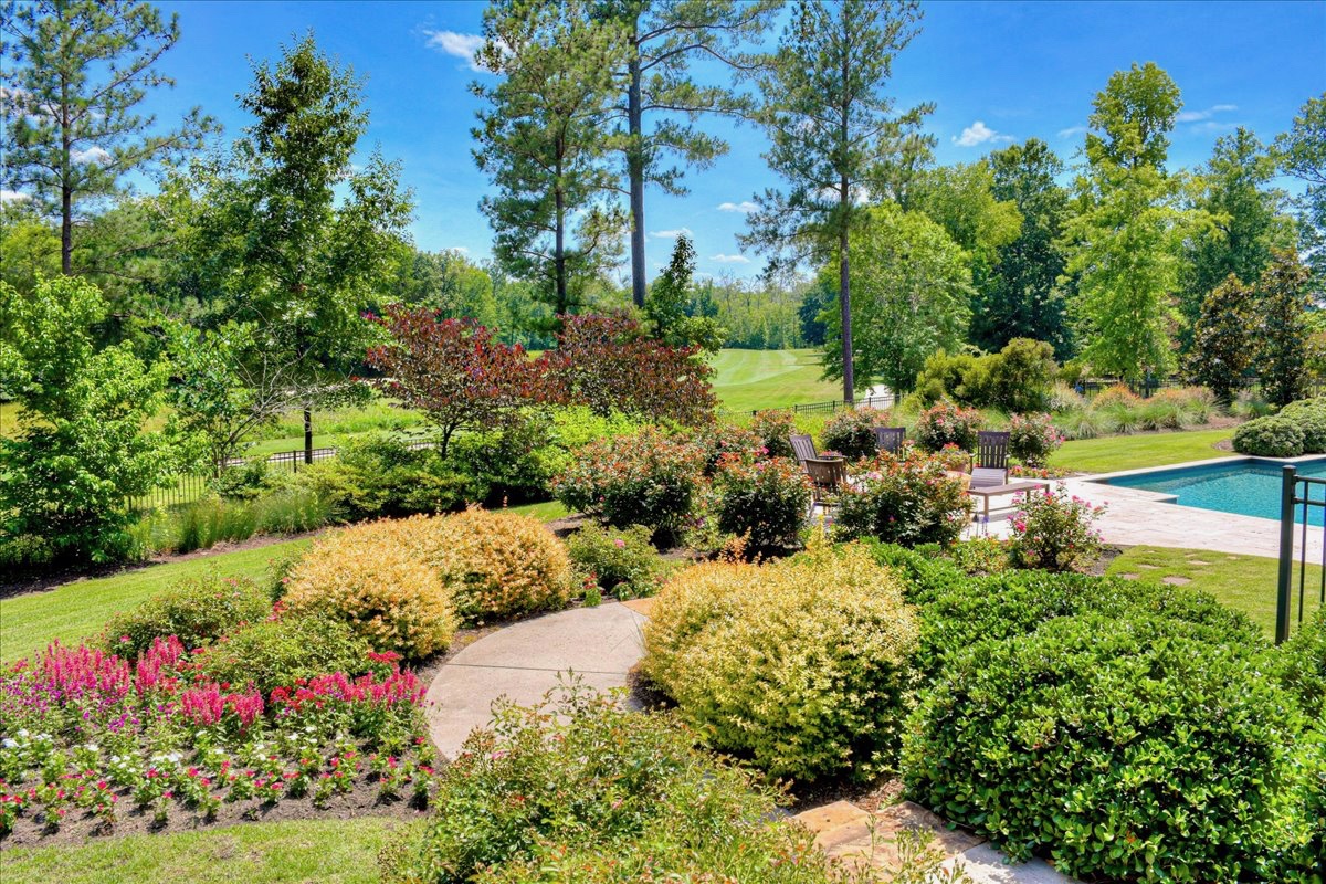 The Palmetto Nest photo 9