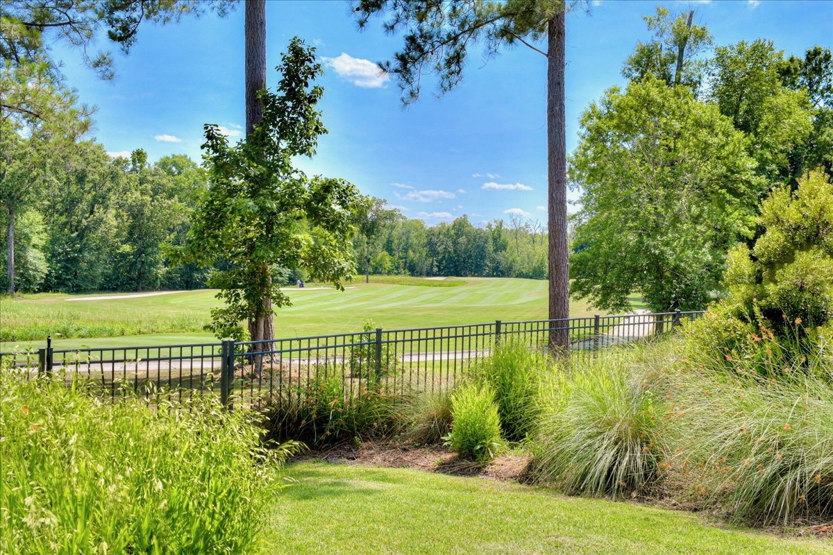 The Palmetto Nest photo 10