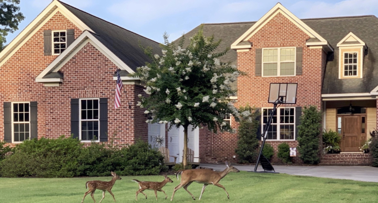 The Morningside Hideaway — Stand Alone