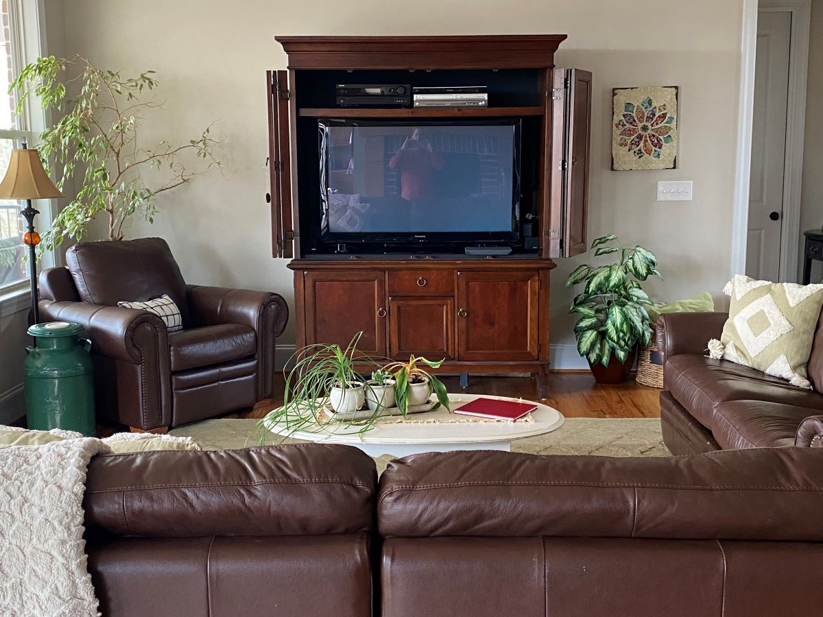 The Morningside Hideaway photo 15