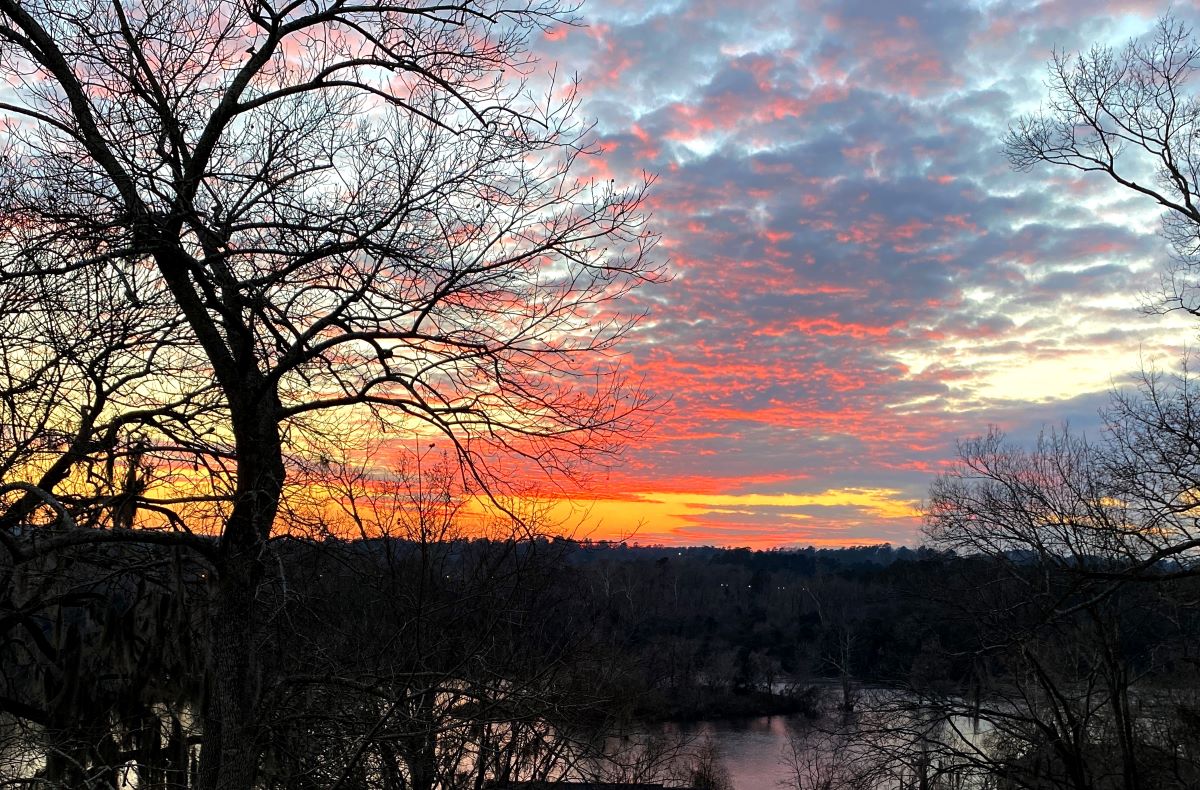 The Morningside Hideaway photo 23