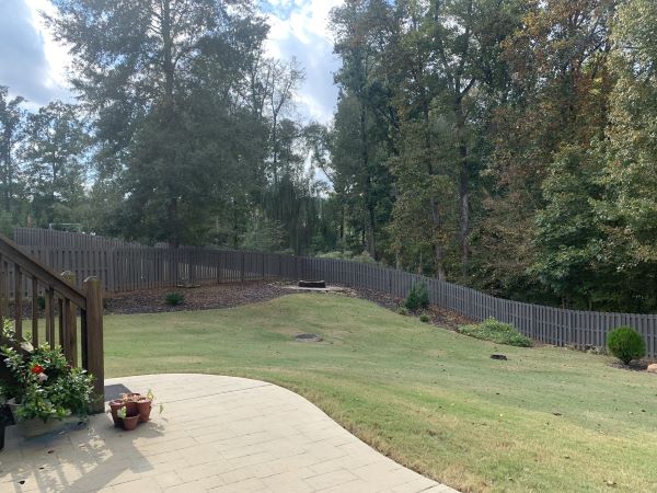 The Savannah Haven photo 4