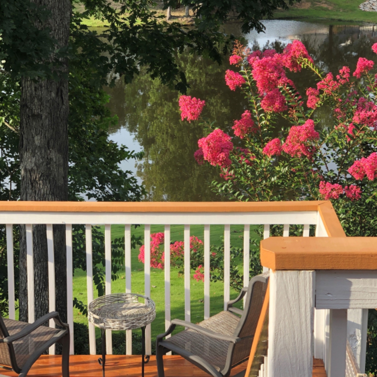 The Cypress Manor photo 15
