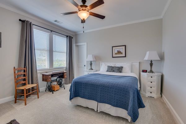 The Fern Manor photo 35