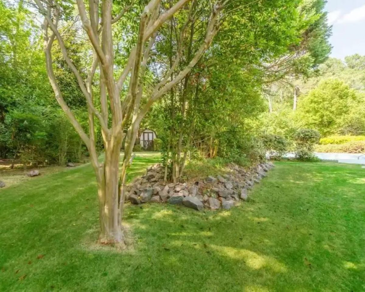 The Ivy Cottage photo 19