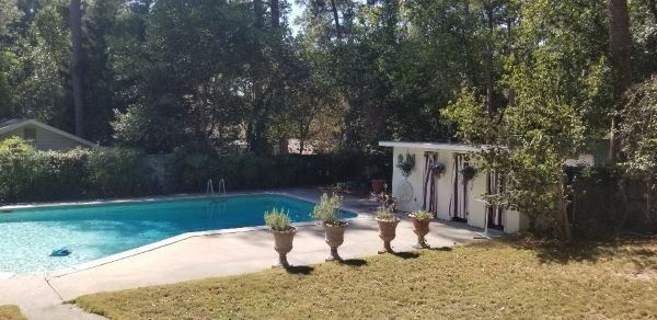 The Camellia Retreat photo 12