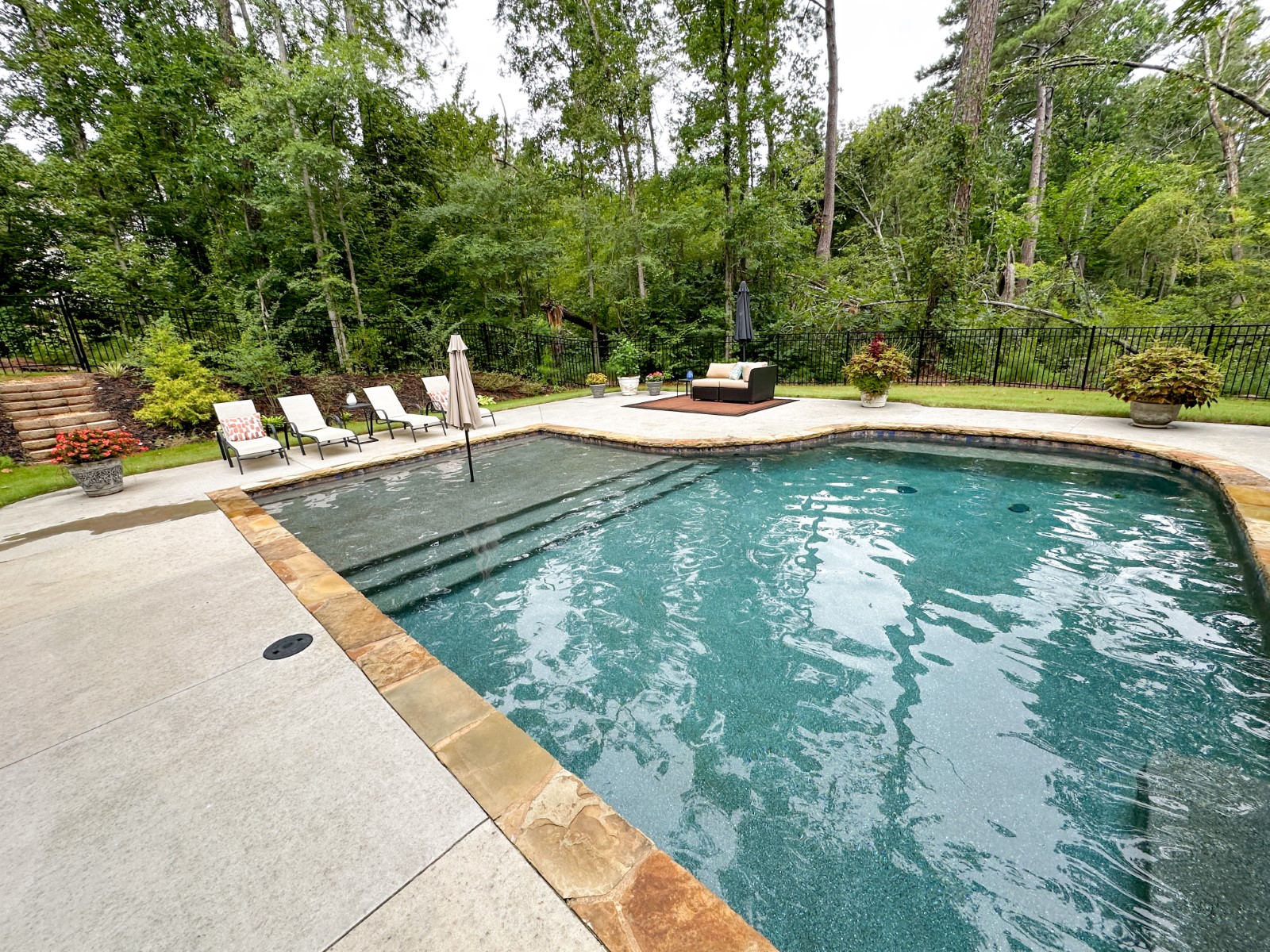 A backyard pool with loungers under Georgia pines