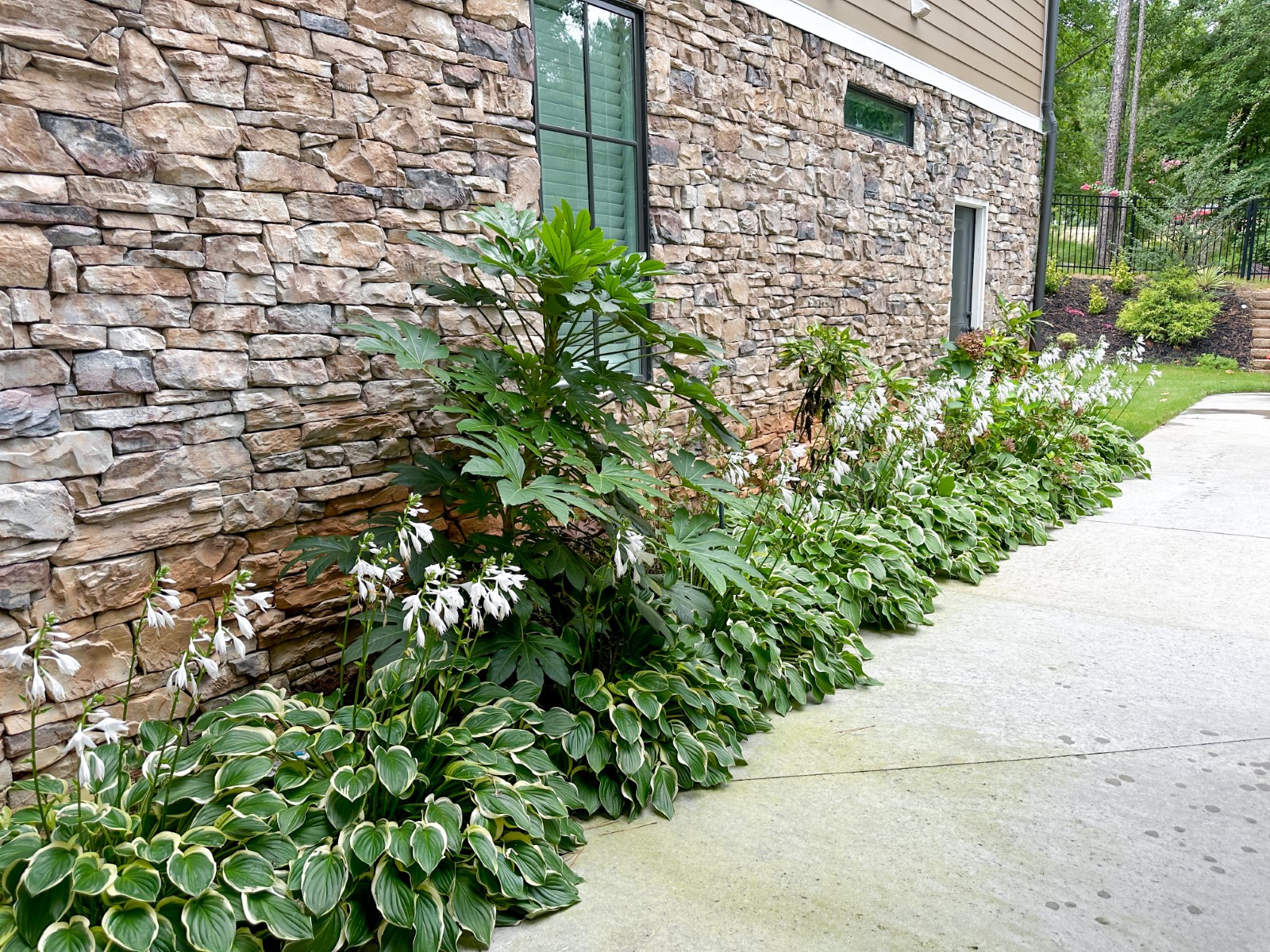 The Sycamore House photo 38