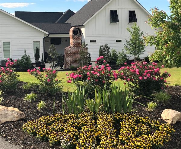 The Loblolly Haven photo 3